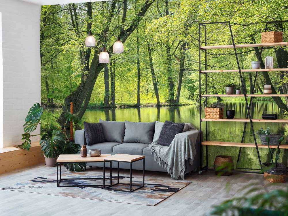 Sommerlandschaft