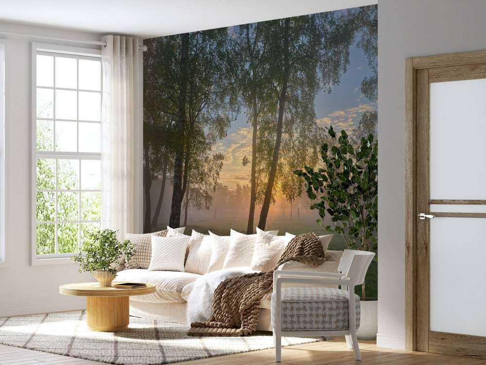 Sonnenaufgang bei den Birken