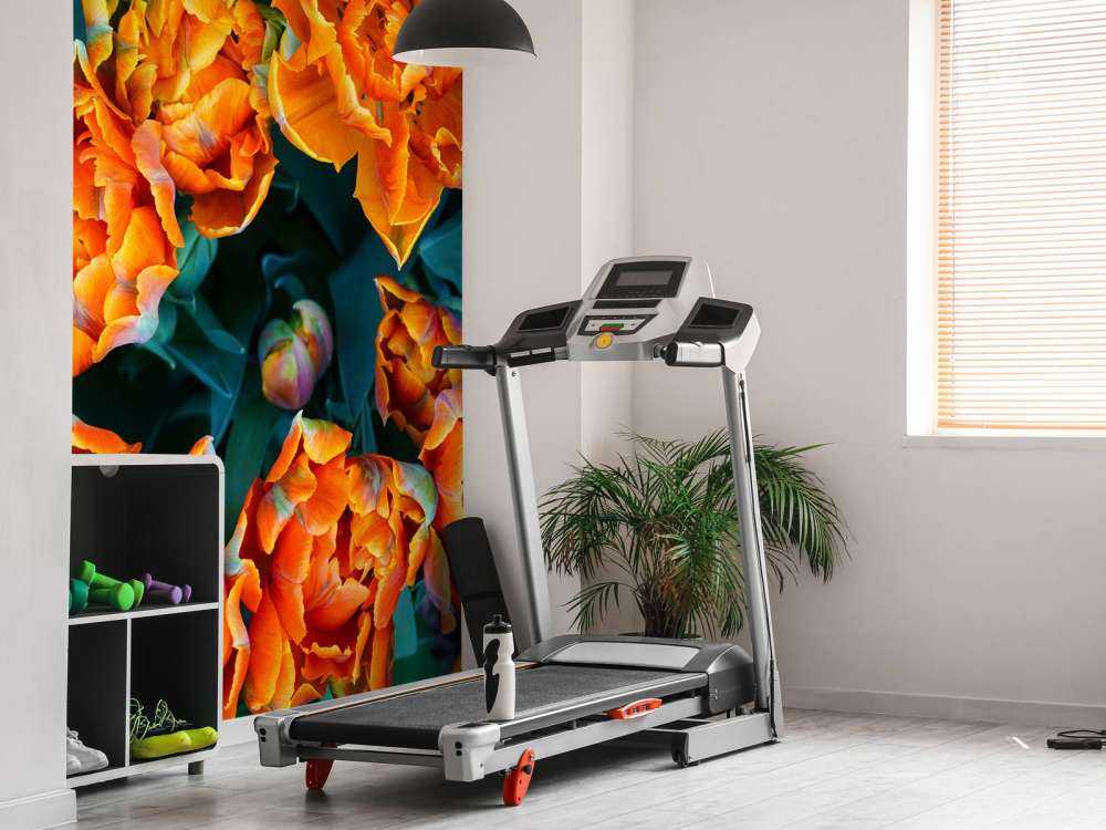 Nahaufnahme orangefarbene Tulpen