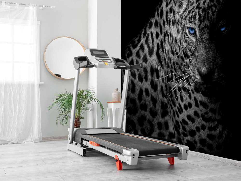 Leopard auf schwarzem Hintergrund