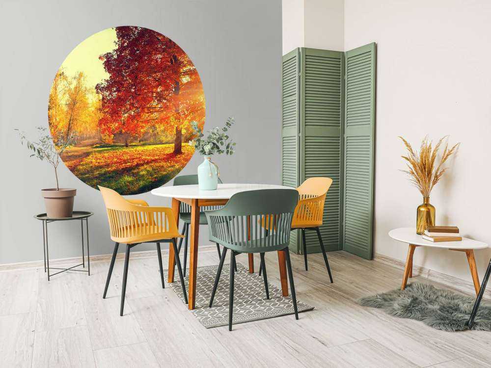 Herbstliche Bäume im Sonnenlicht auf Fototapete