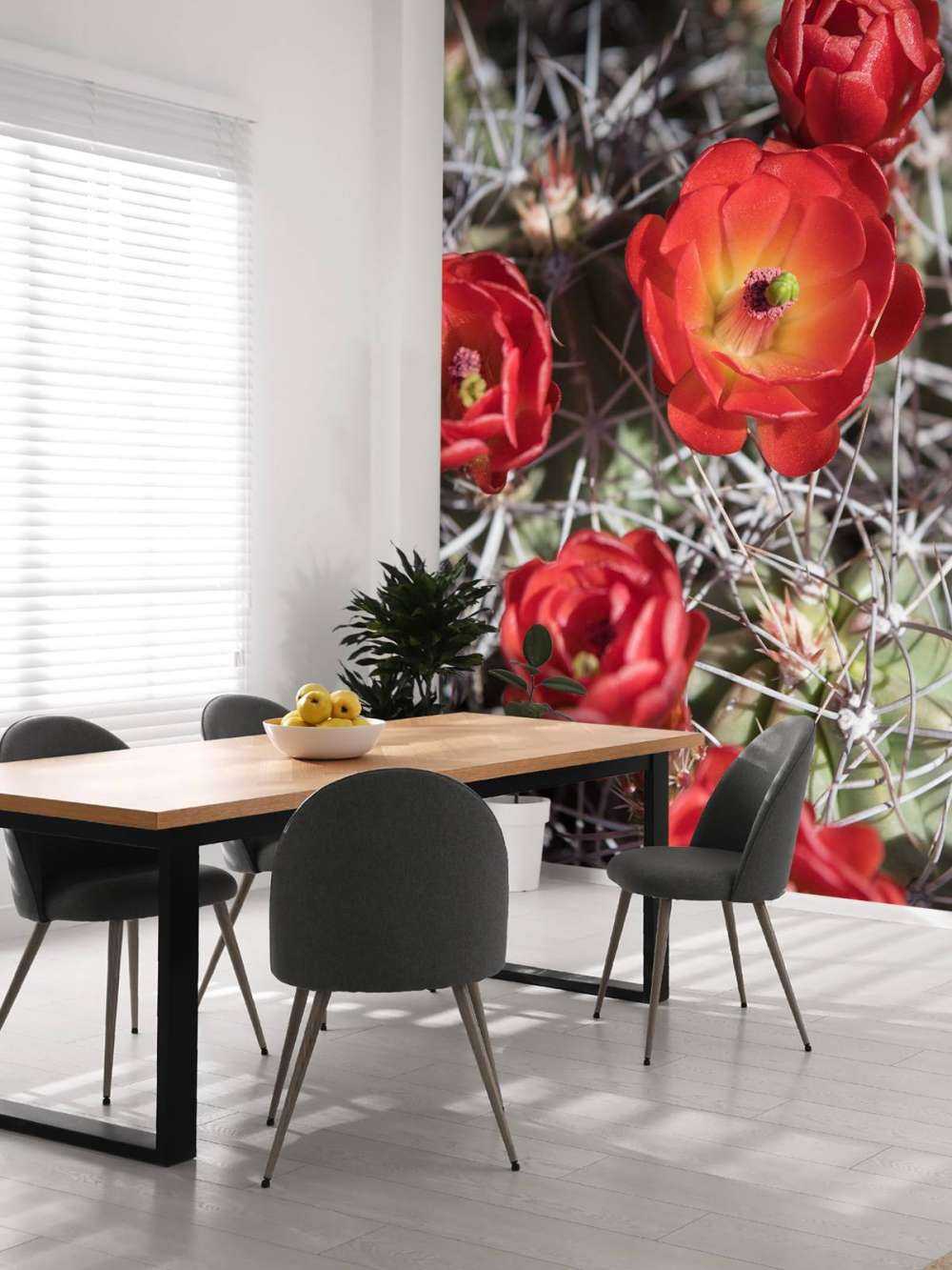 Rote Kaktusblumen