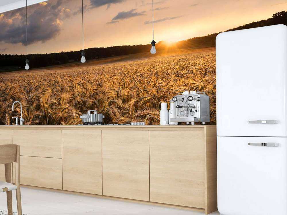 Fields of gold