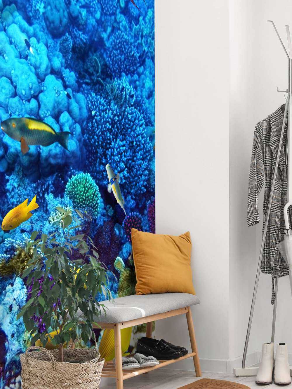 Fische und Korallen