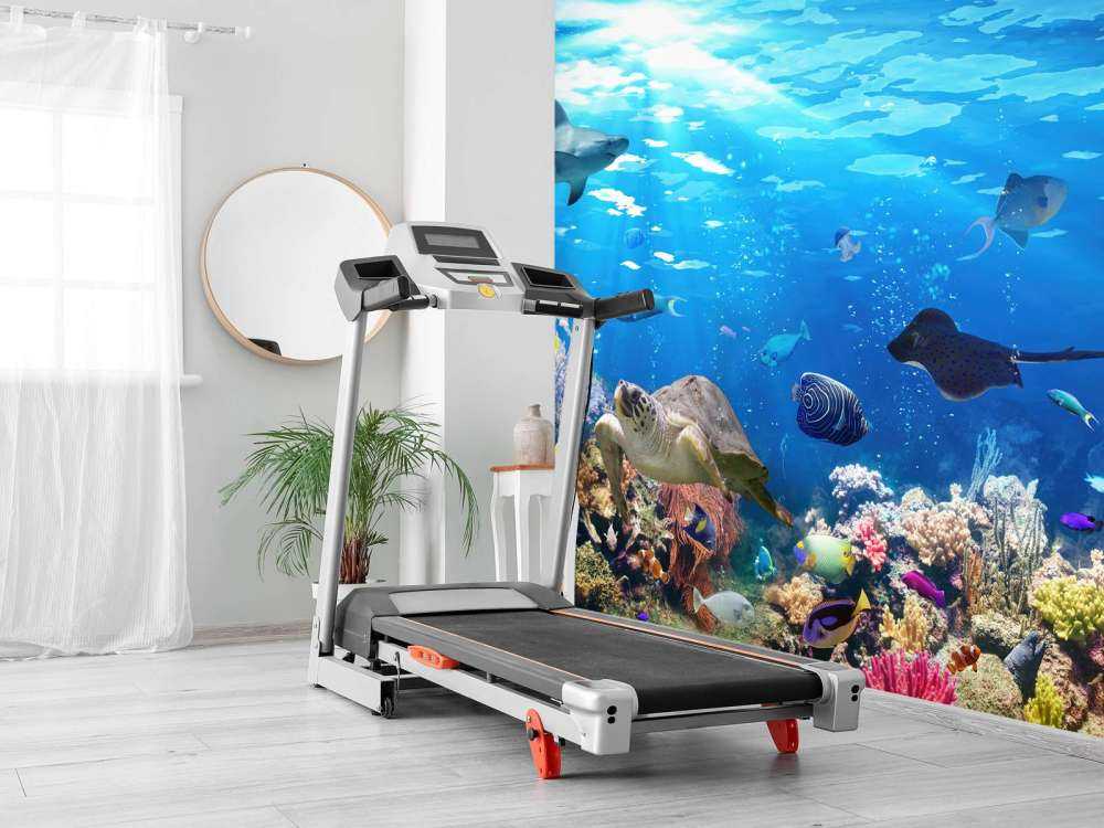 Exotische Fische