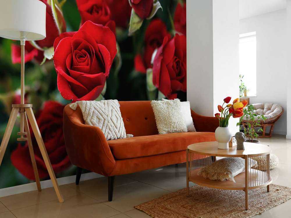 Roter Rosenstrauch