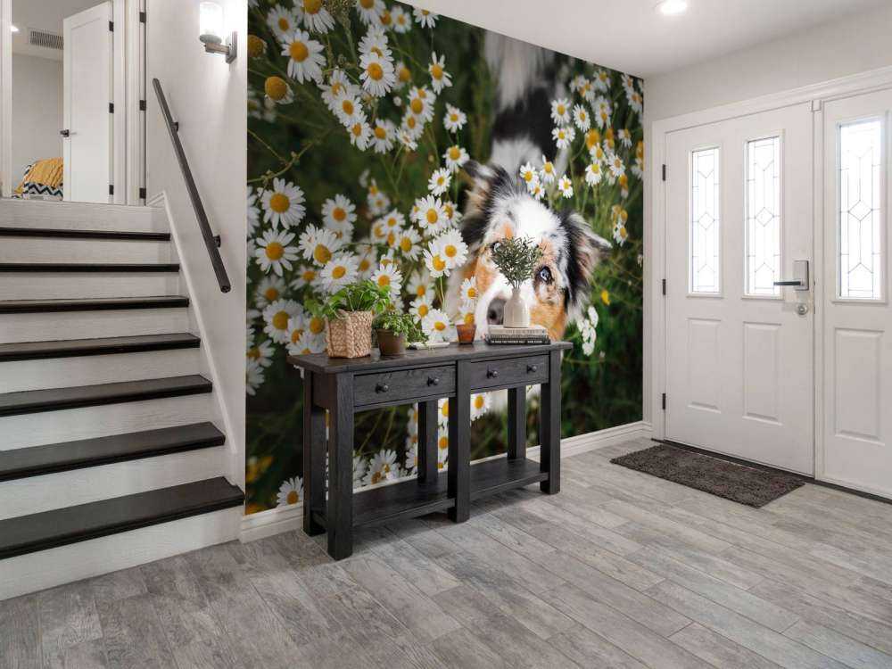 Australischer Schäferhund unter Blumen