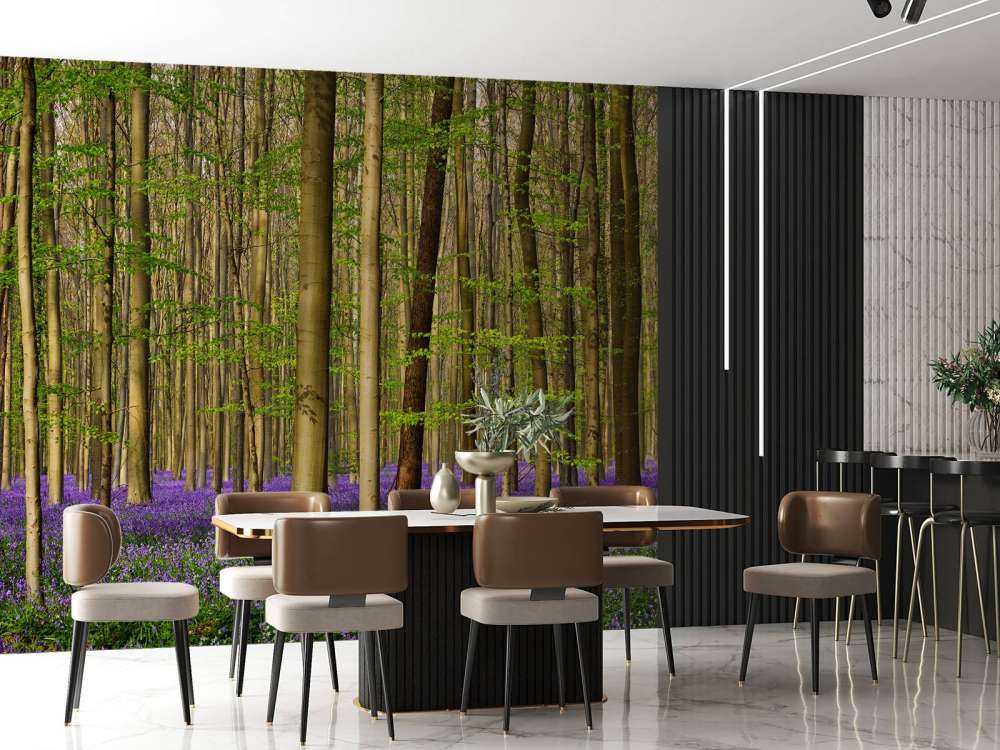 Wald mit Waldhyazinthen