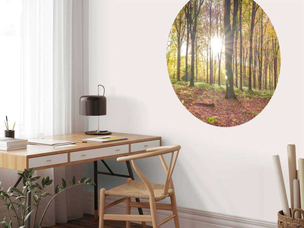 Sonnenlicht durch den Herbstwald