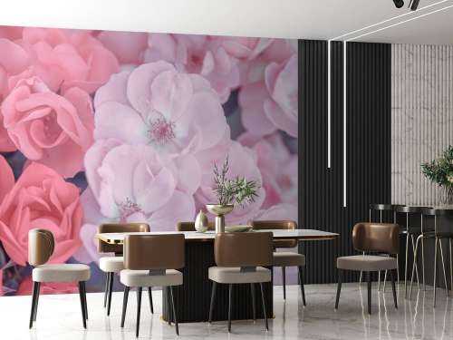 Rosa weinrote Blumen