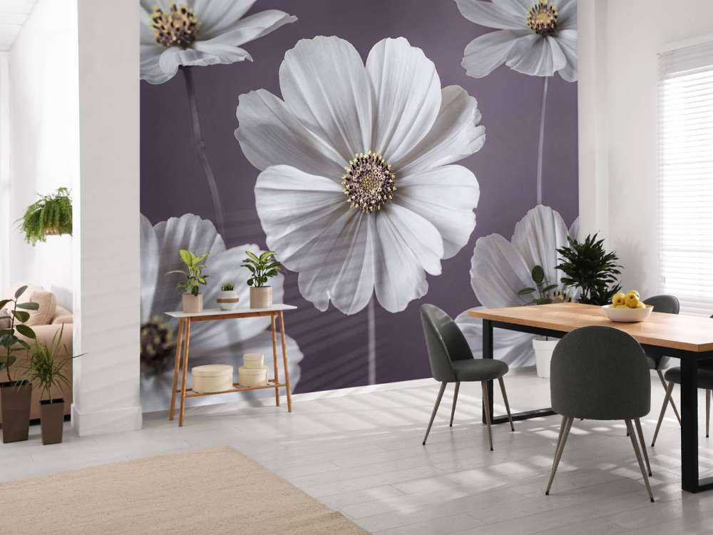 Kosmos Blumen