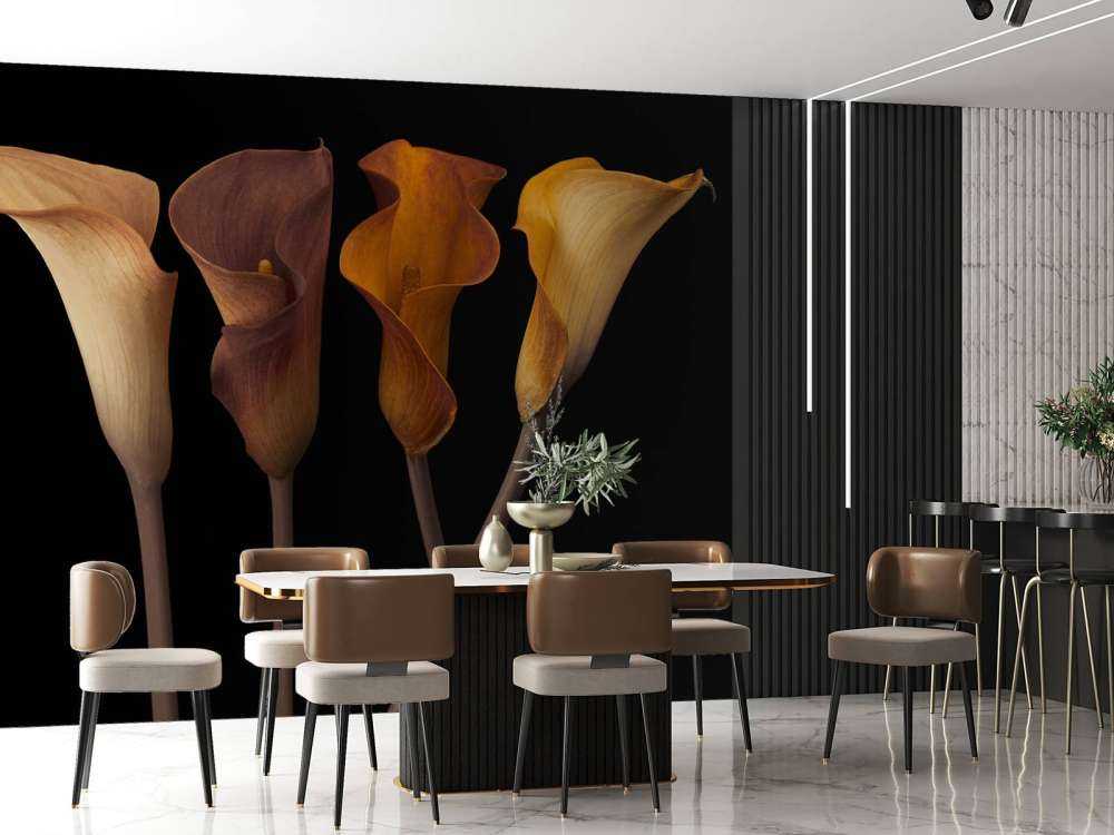 Calla-Lilien