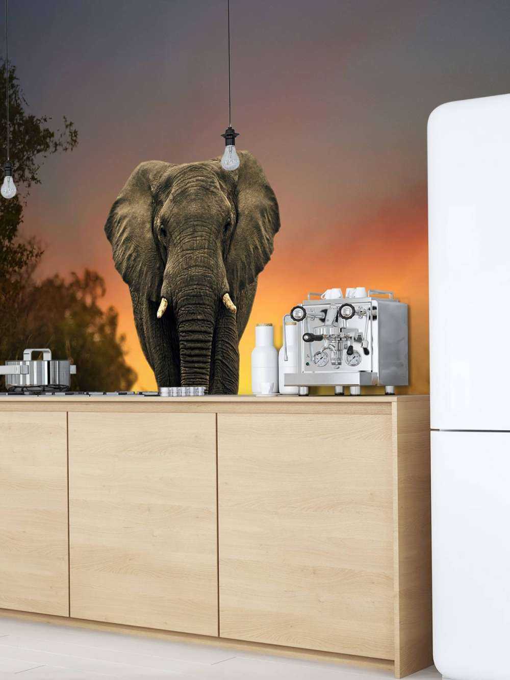Elefant mit Sonnenuntergang
