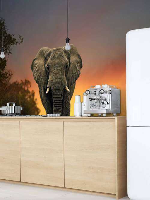 Elefant mit Sonnenuntergang
