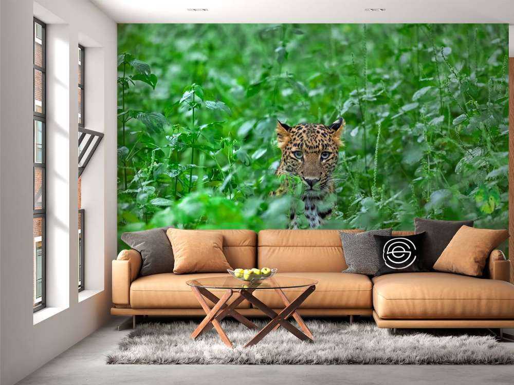 Leopard im Wald