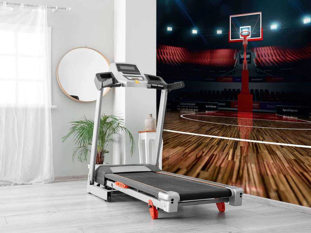 Basketballarena