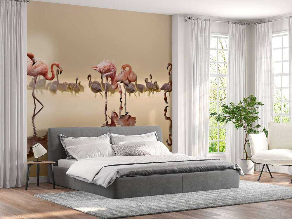 Flamingo Family