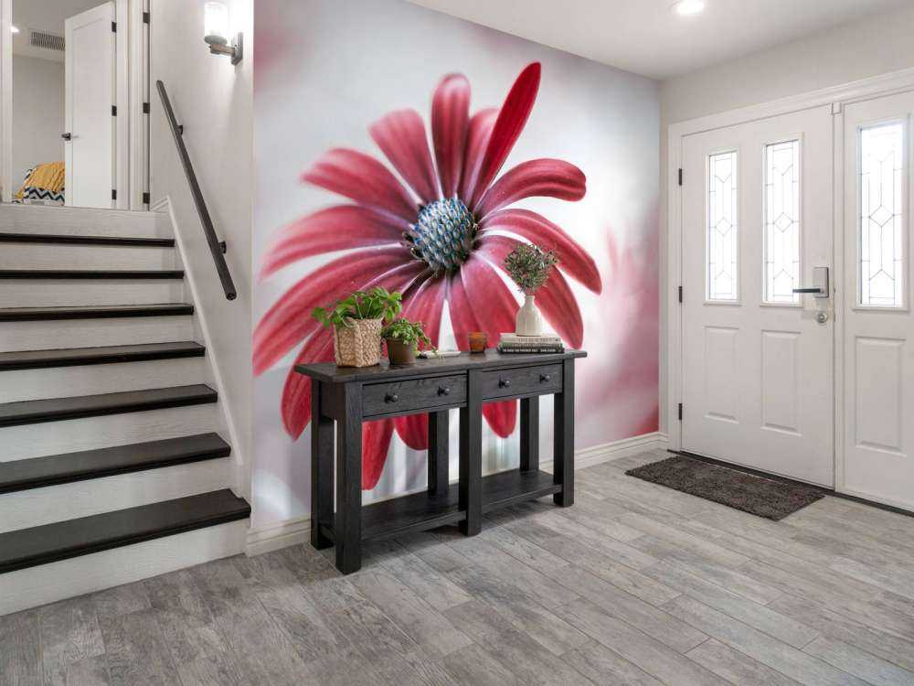 Red Daisy