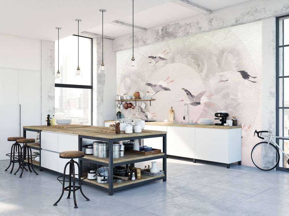 Serenity 6