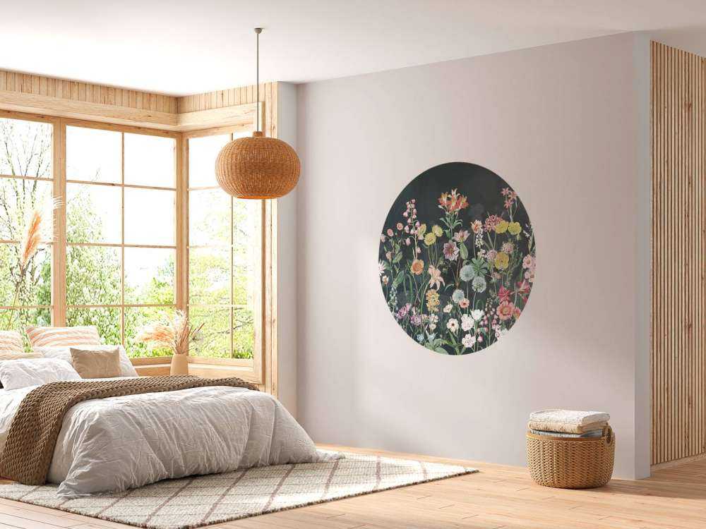 Primula 11