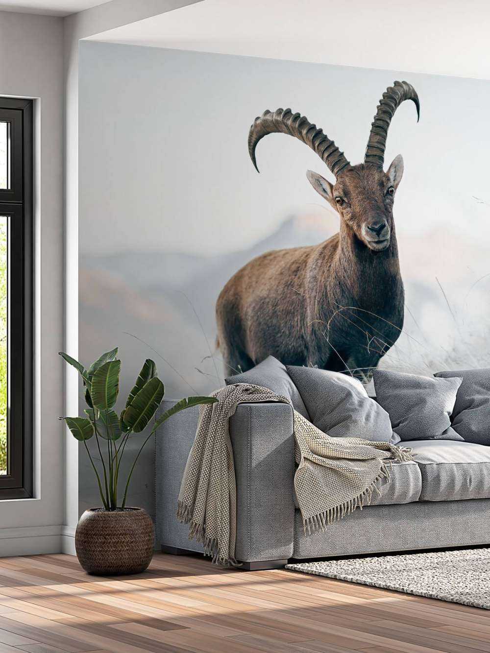 Alpensteinbock