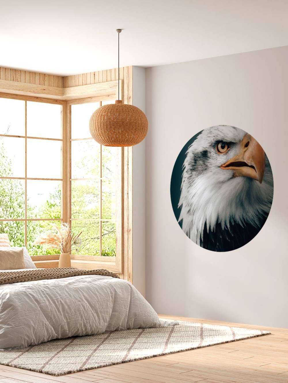 Schauender Seeadler