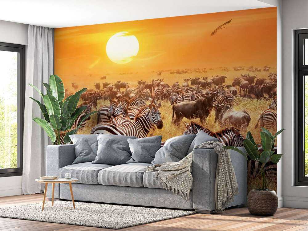 Savannensonne mit Zebras