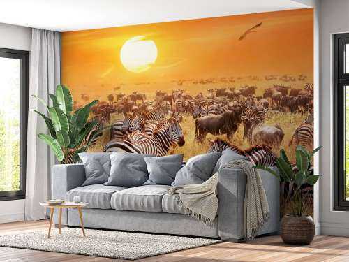 Savannensonne mit Zebras