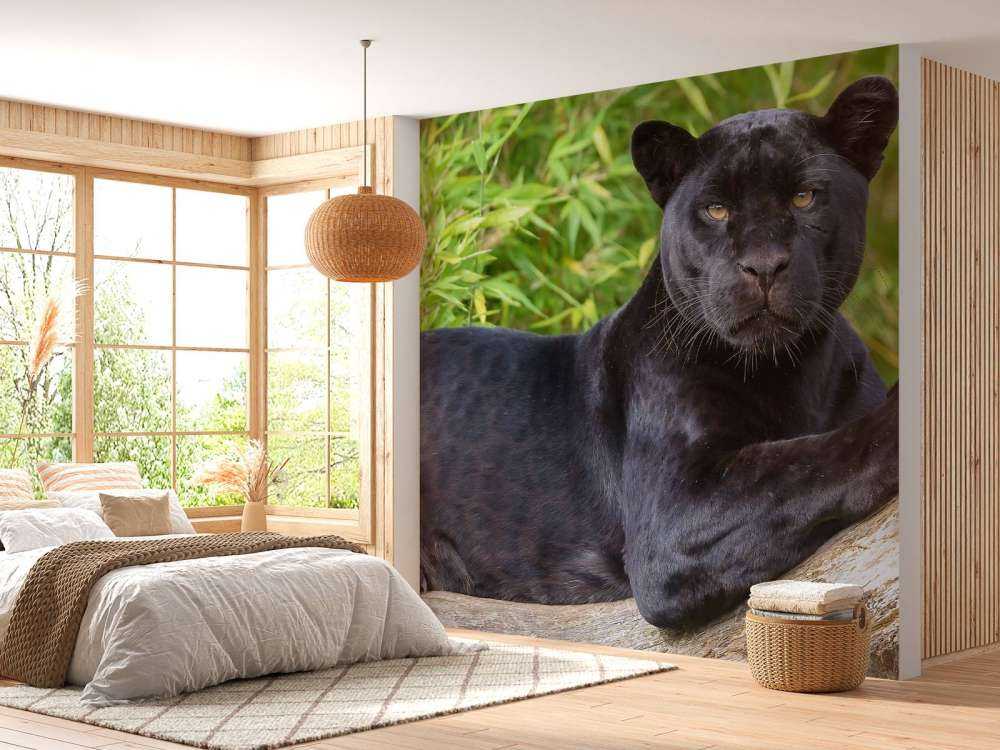 Schwarzer Panther auf einem Baum
