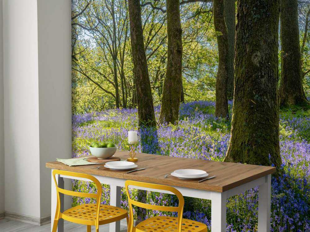 Panorama des Frühlings im Wald