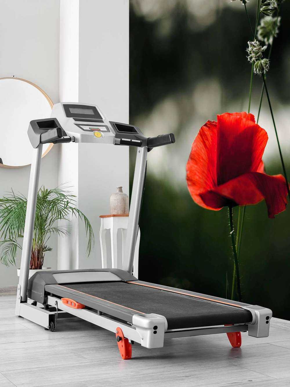Roter Mohn mit Gras