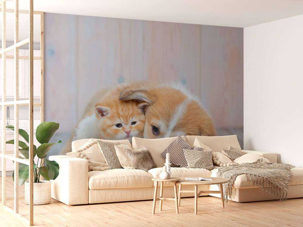 Katzentapete. Bild eines Kätzchens und eines Welpen.