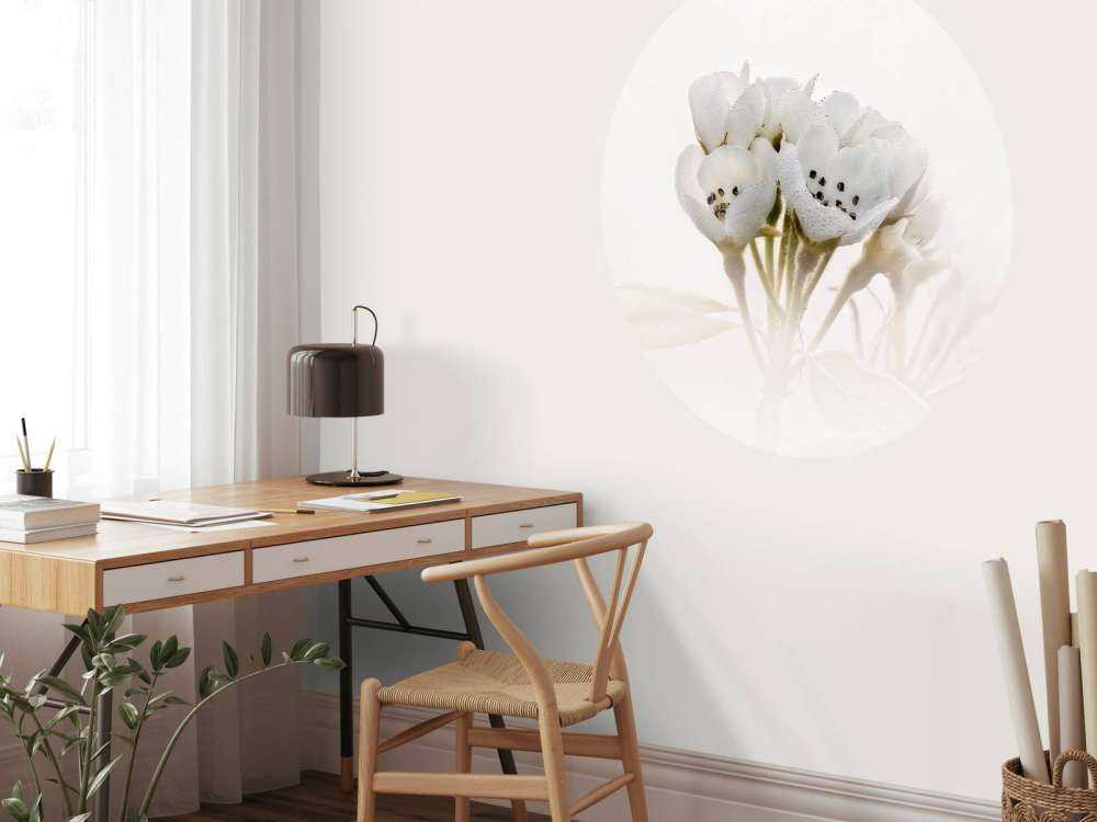 Nahaufnahme der Birnenblüte