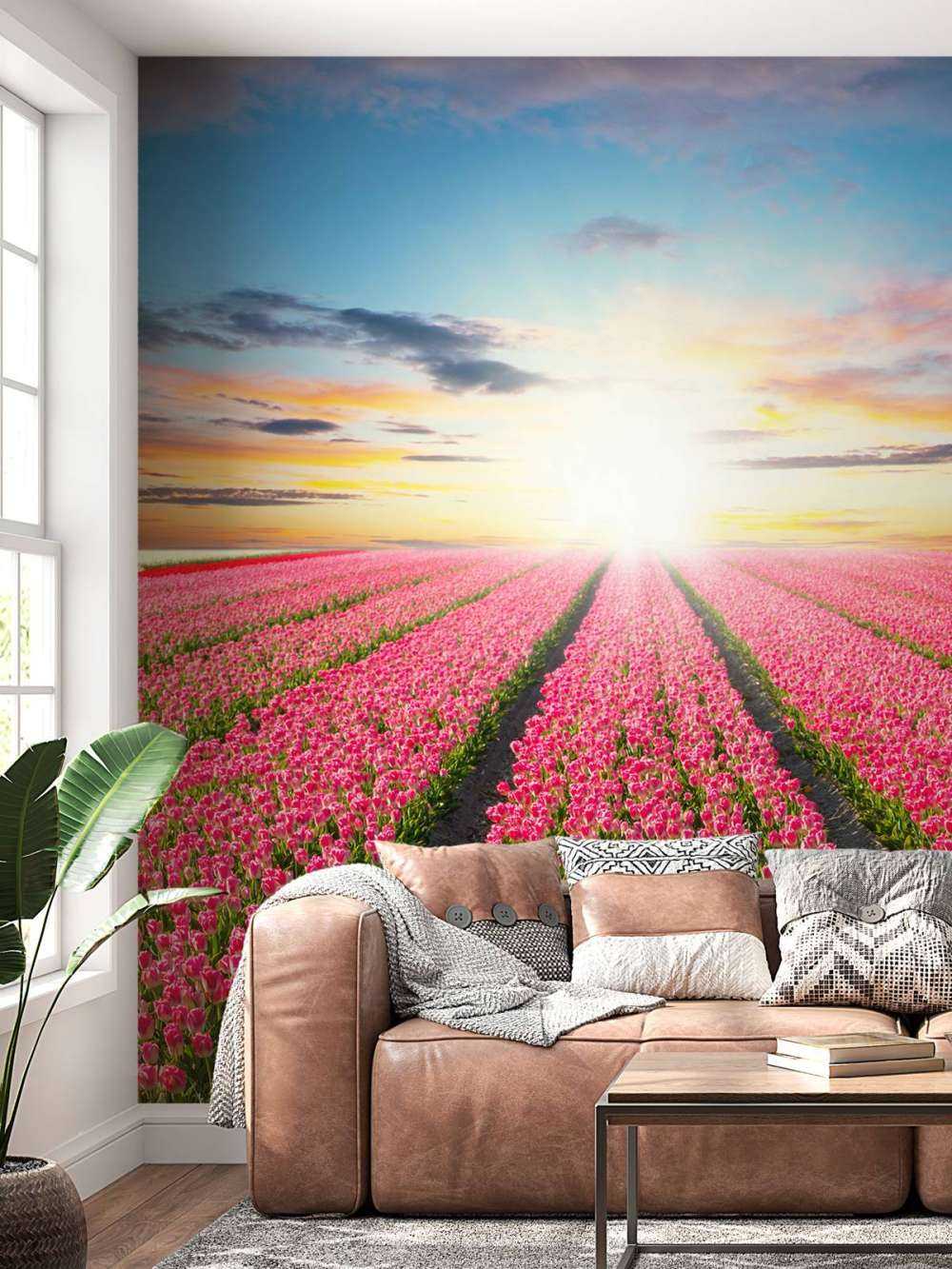 Tulpen mit aufgehender Sonne
