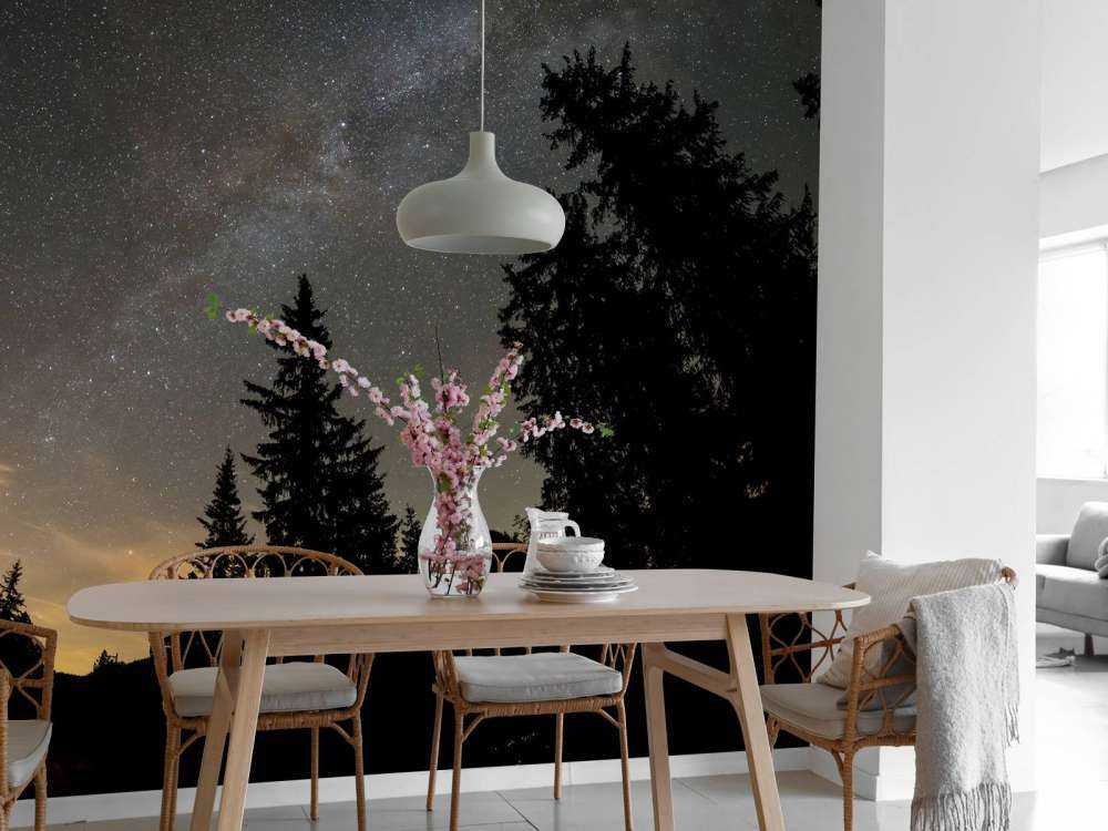 Sternenklare Nacht