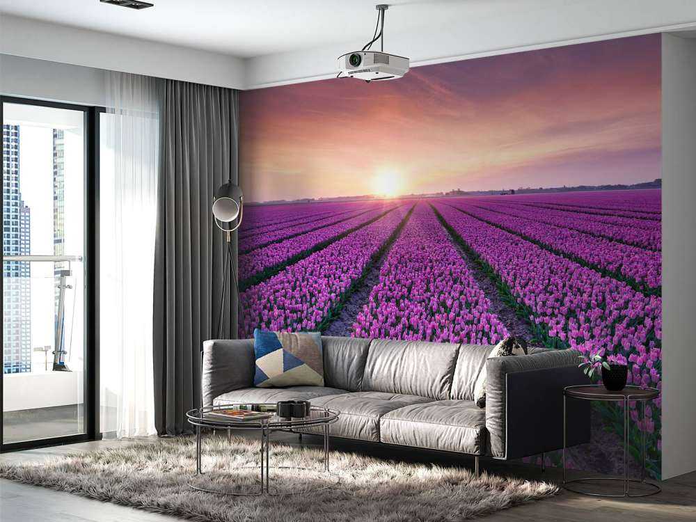 Tulpenfeld bei Sonnenaufgang