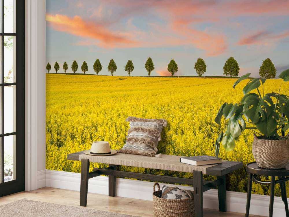 Feld voller gelber Blumen
