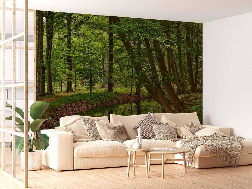 Gebogene Bäume in der Nähe des Wassers