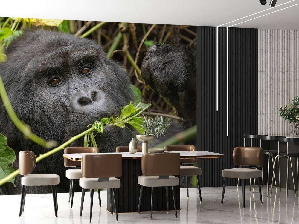 Gorilla zwischen den Ästen