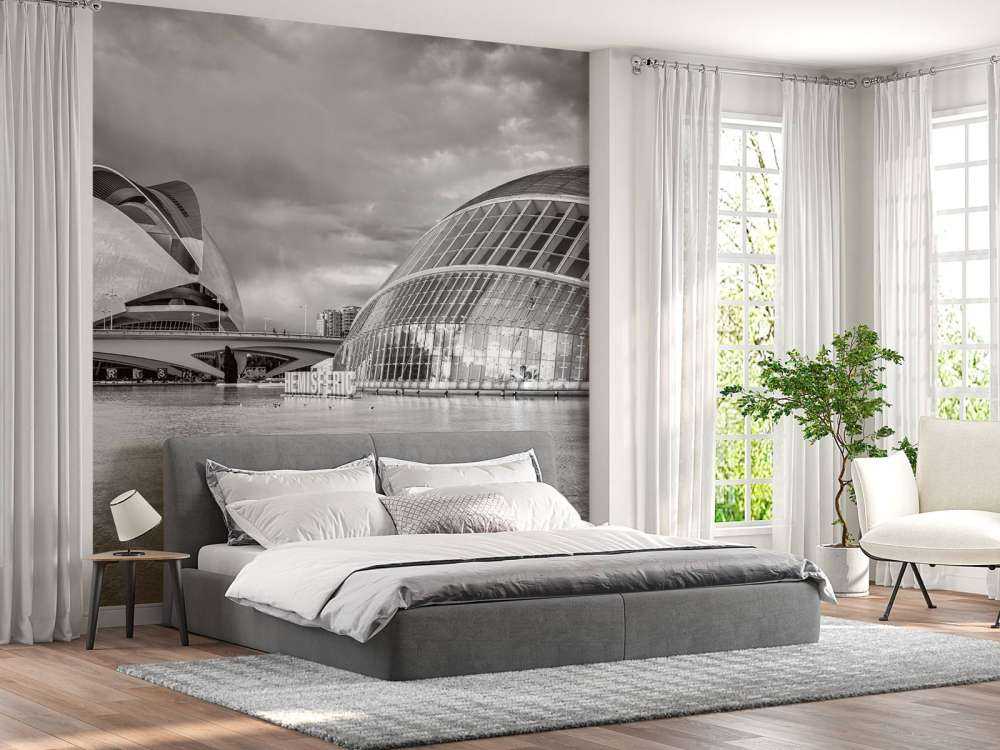 Opernhaus - Palau de les arts Reina Sofia & Hemisfèric - Valencia