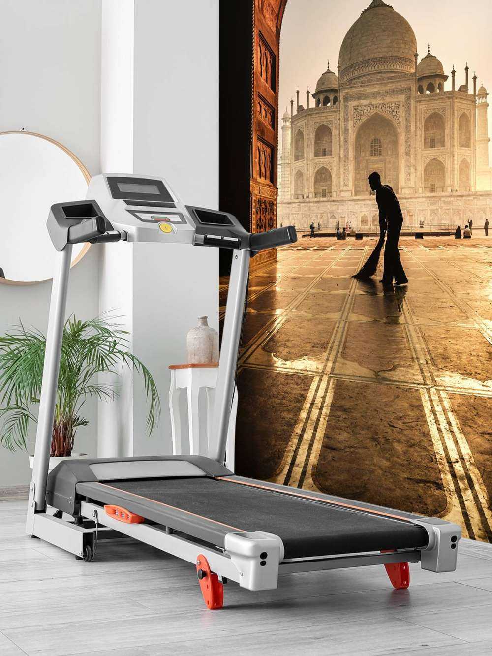 Taj mahal cleaner