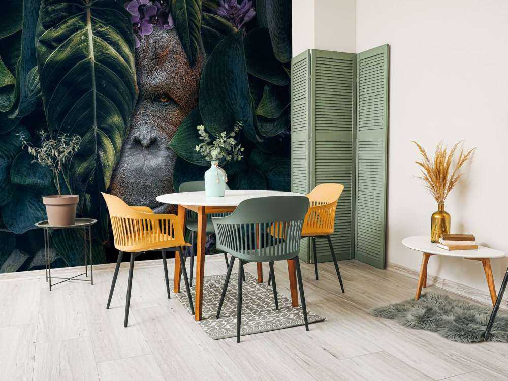 Jungle Orangutan