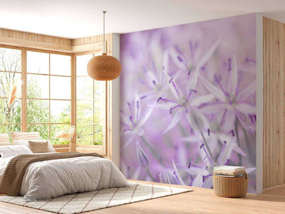 Nahaufnahme Allium-Blüten