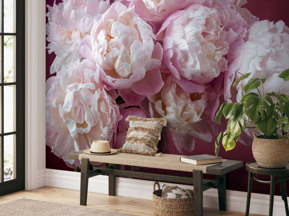 Strauß rosa Pfingstrosen
