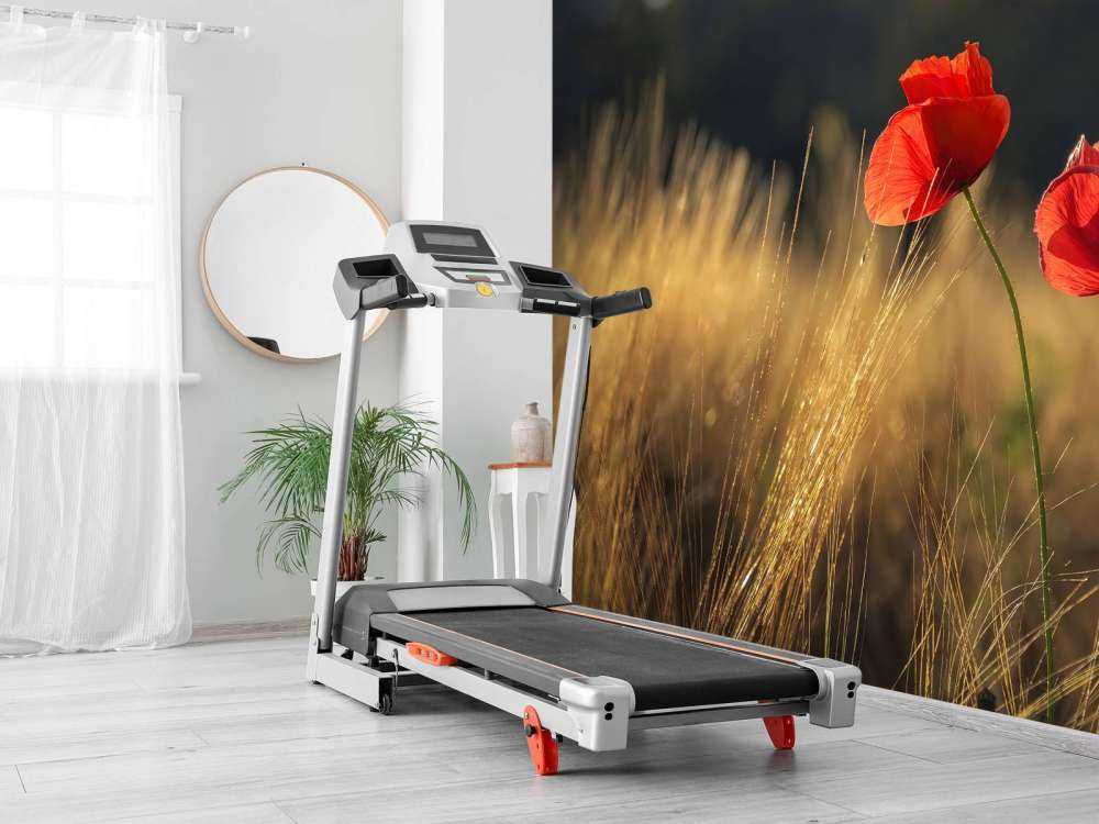 Mohn auf einem Weizenfeld