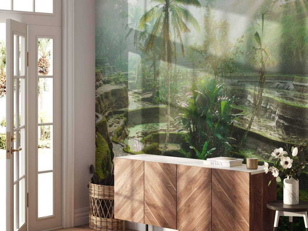 Reisfelder im Dschungel