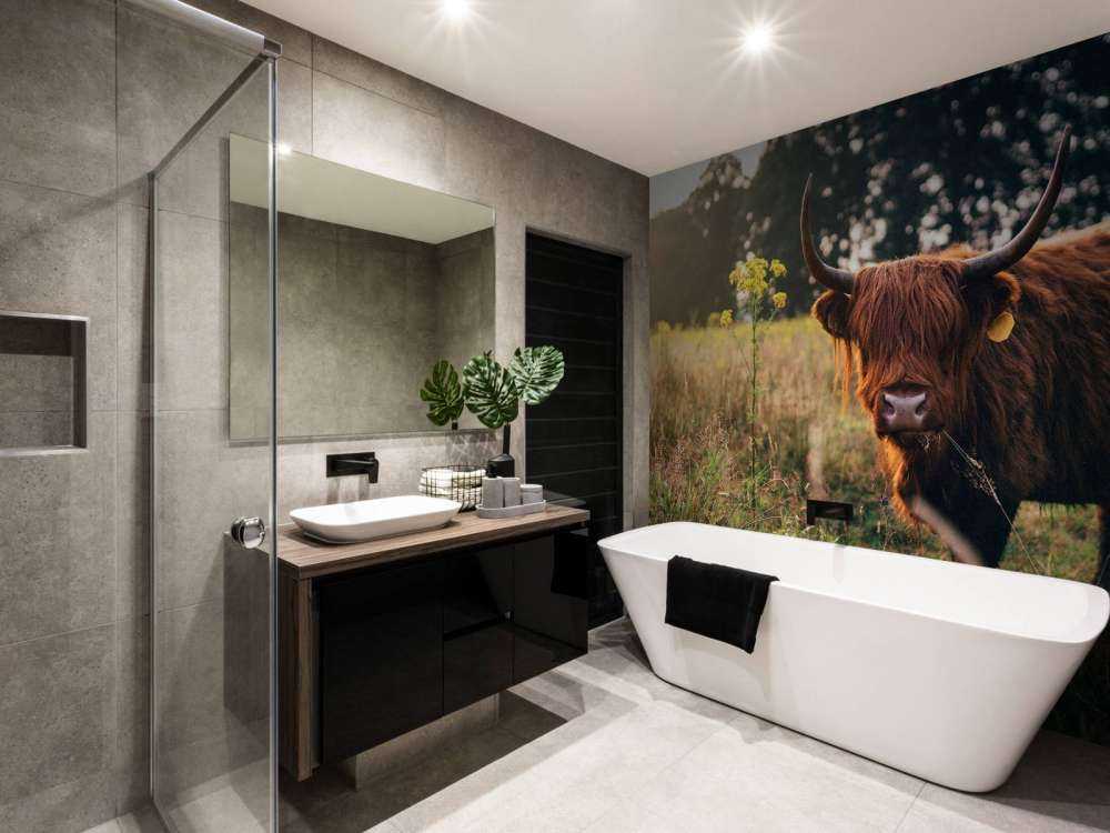 Schottischer Hochländer im hohen Gras