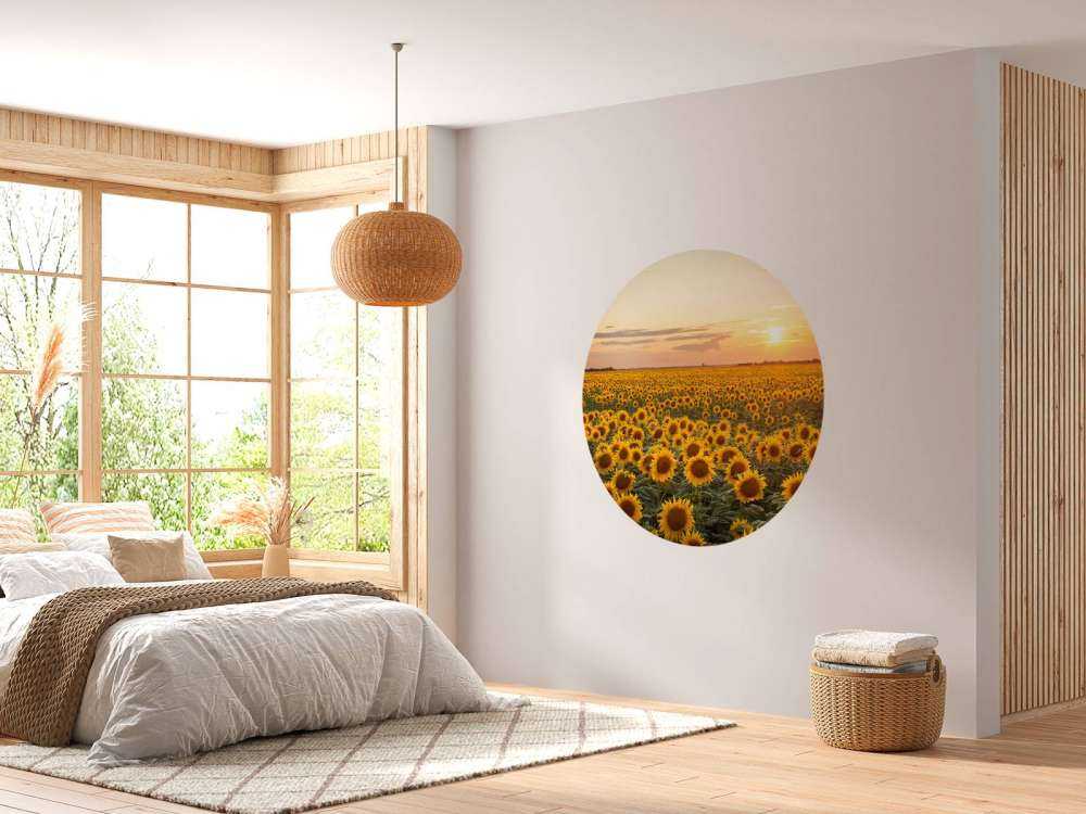 Sonnenblumenfeld mit Sonnenuntergang