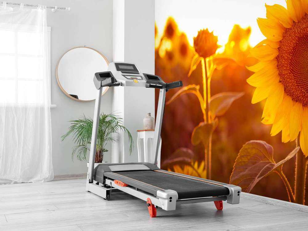 Warmes Sonnenblumenfeld