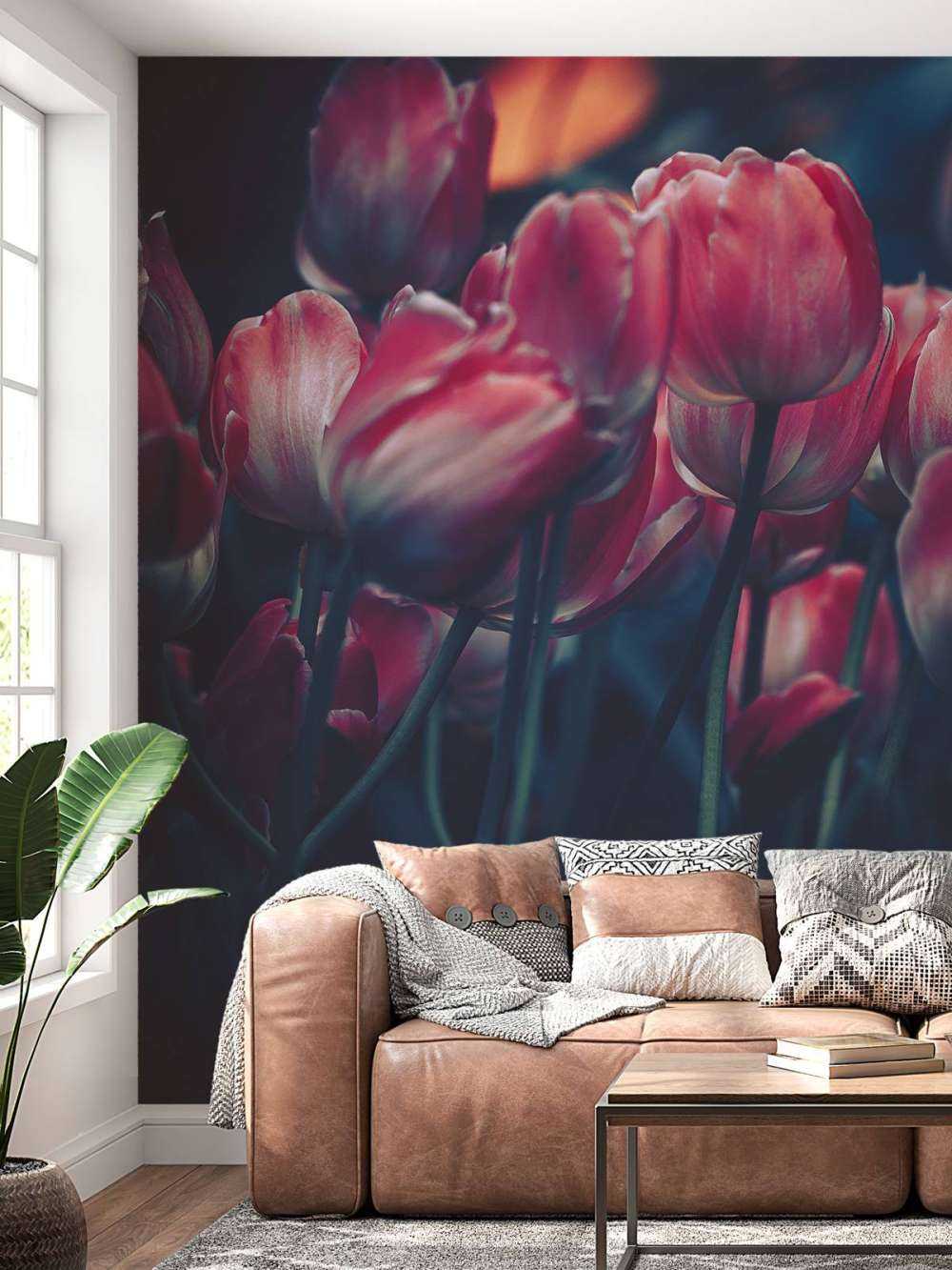 Alte Tulpen